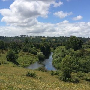 Meet your Posher, Katharine